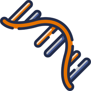 rna strand